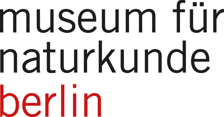 logo-mfn